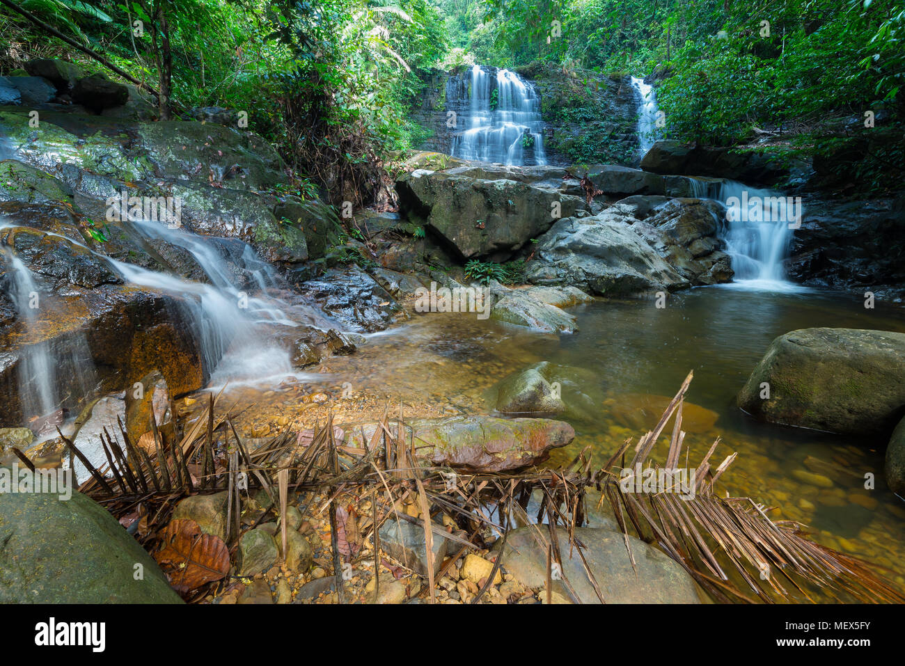Borneo rain forest waterfall, idyllic stream flowing in the lush green jungle of Kubah National Park, Sarawak, Malaysia. Blurred effect on water, long Stock Photo