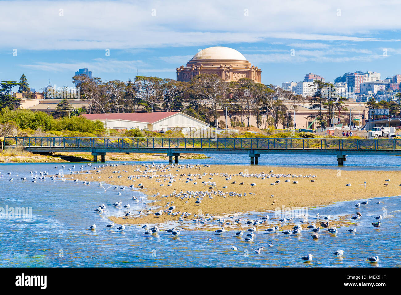 Beautiful view of famous Palace of Fine Arts with birds on a sand bank on a sunny day with blue sky and clouds in summer, San Francisco, California Stock Photo