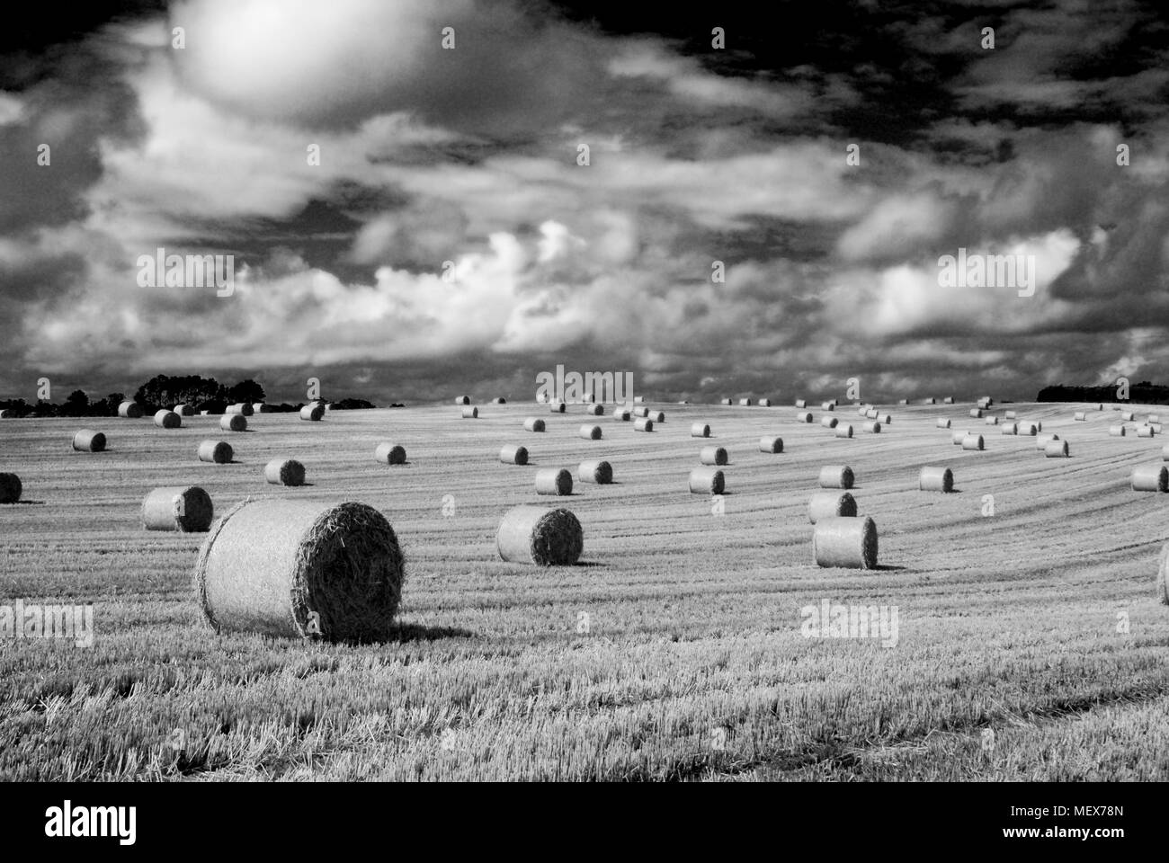 Black and White of bales of Hay Barley or Straw in a sloping field with clouds and dramatic sky Stock Photo