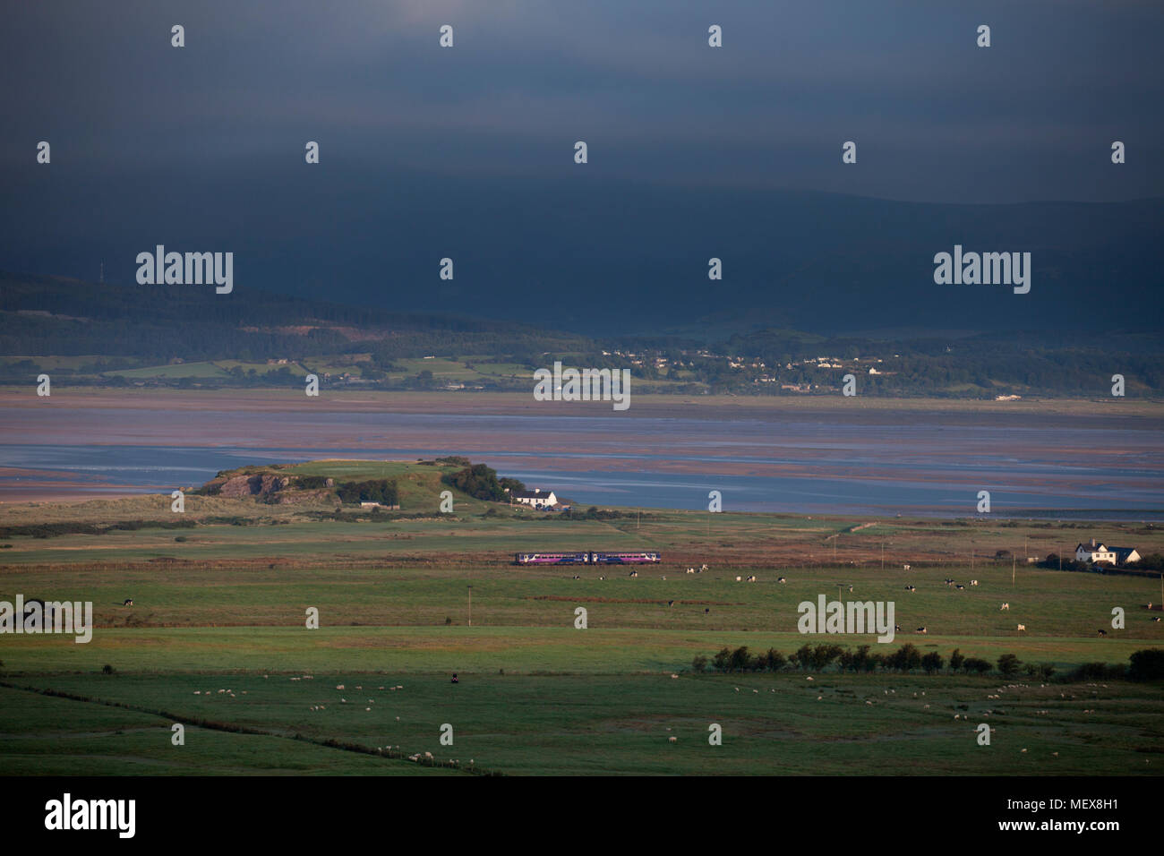 A Northern rail class 156 sprinter train passing the Duddon estuary at