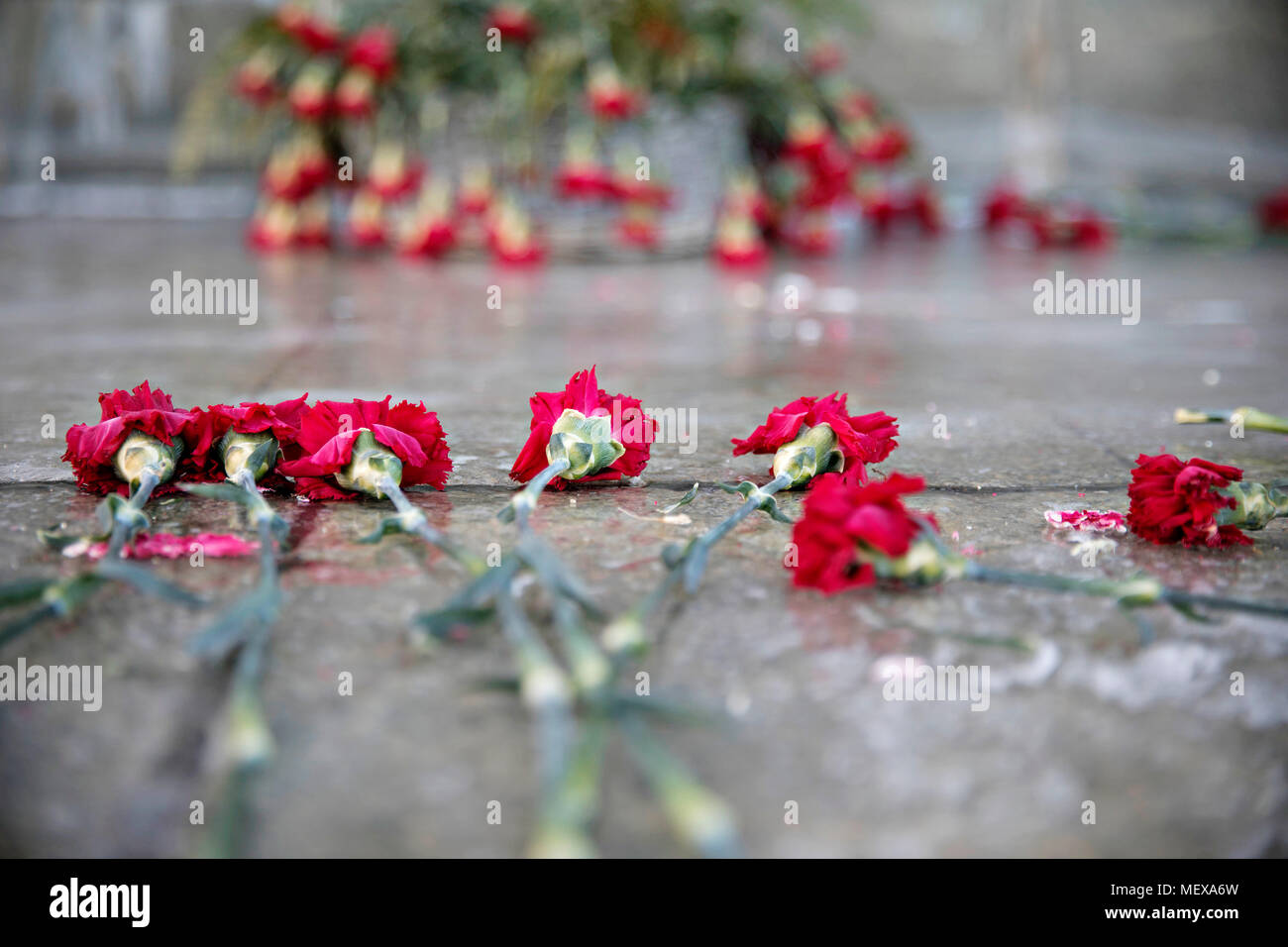 carnation, frozen, monument, square, Russia Stock Photo Alamy