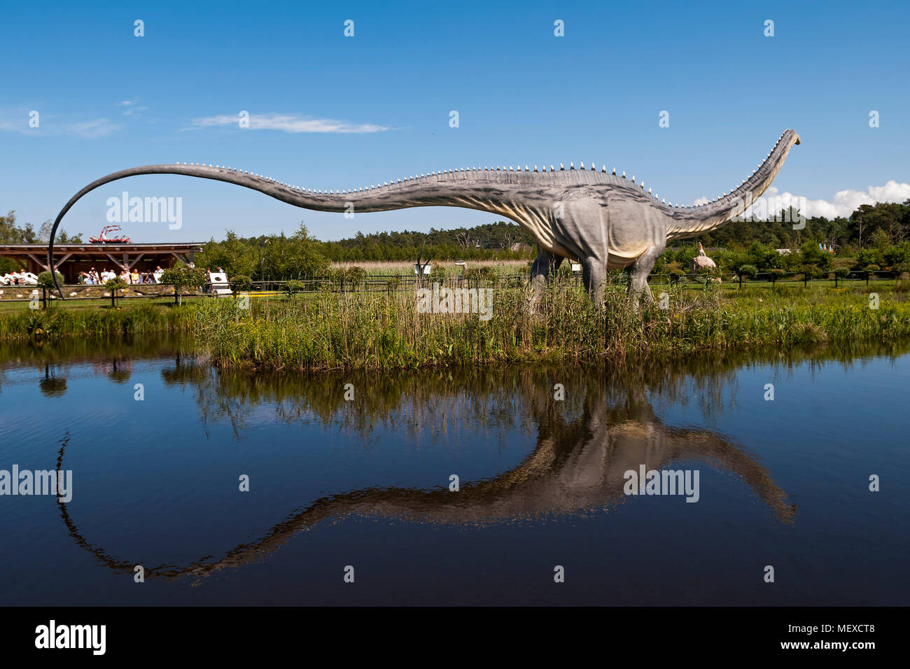 Sculpture of dinosaur ( Sauropoda , Diplodocus ) in live size. Stock Photo