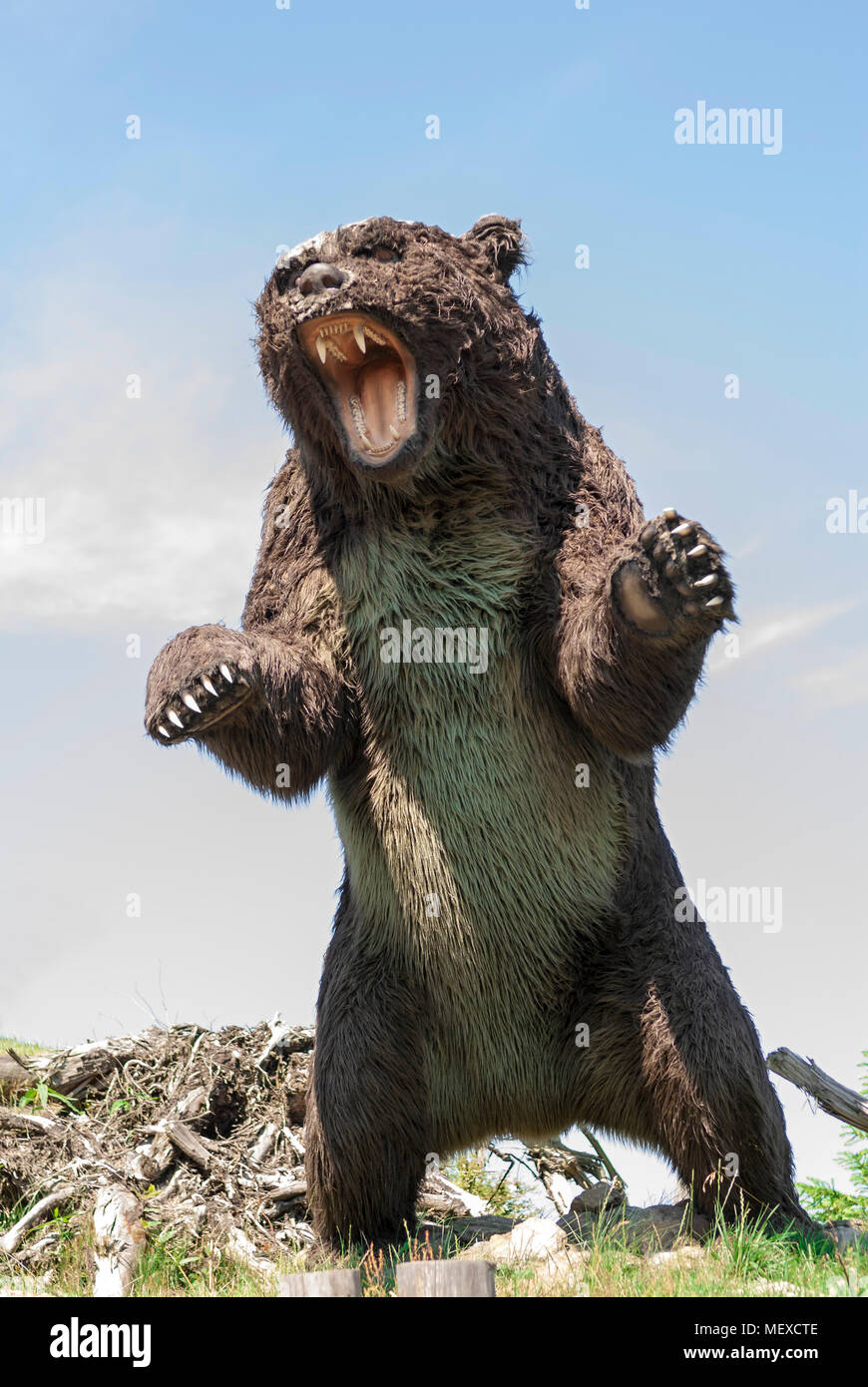 Model of prehistoric wild bear. Stock Photo