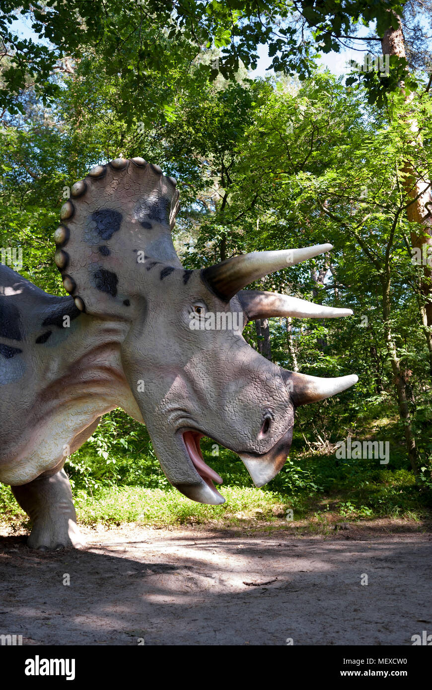 Sculpture of dinosaur (triceratops) in live size. Stock Photo