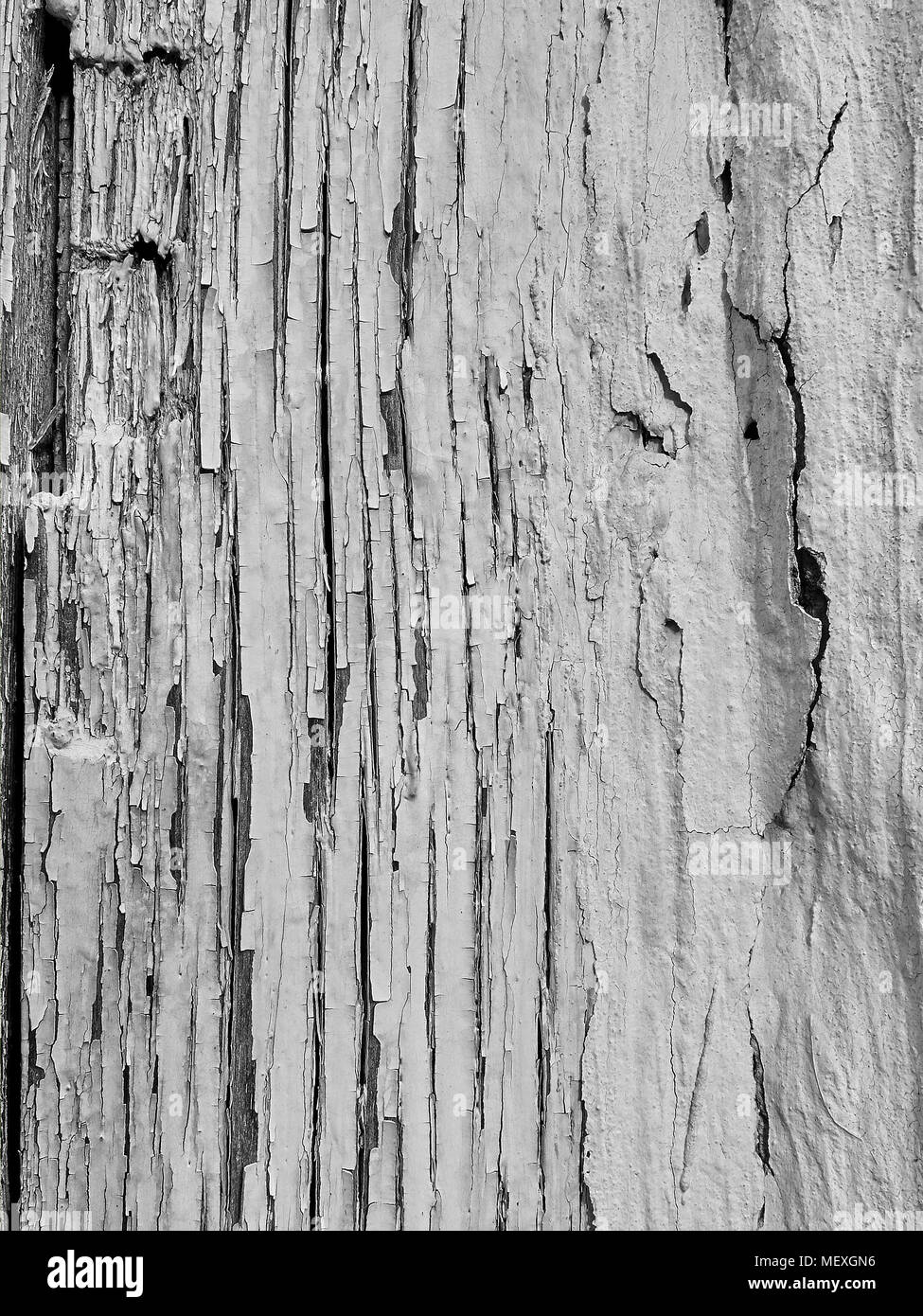 Worn white paint on wood background texture, Stock image
