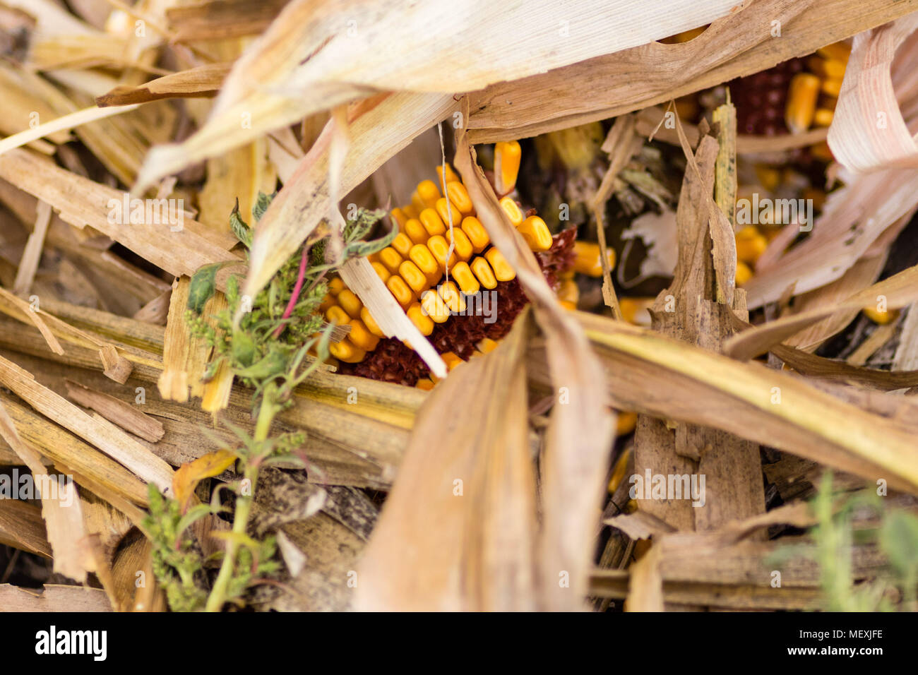 Debris field hires stock photography and images Alamy