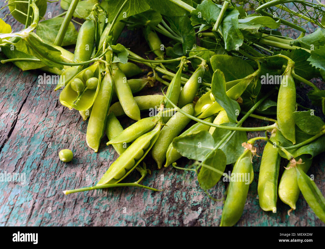 Green freshly picked pea pods and stems Stock Photo Alamy