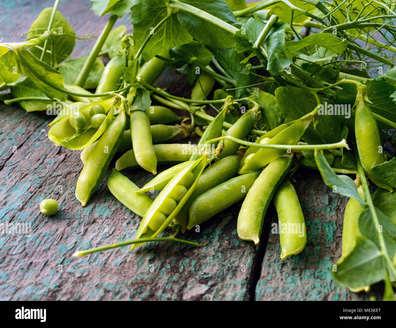 Green freshly picked pea pods and stems Stock Photo Alamy
