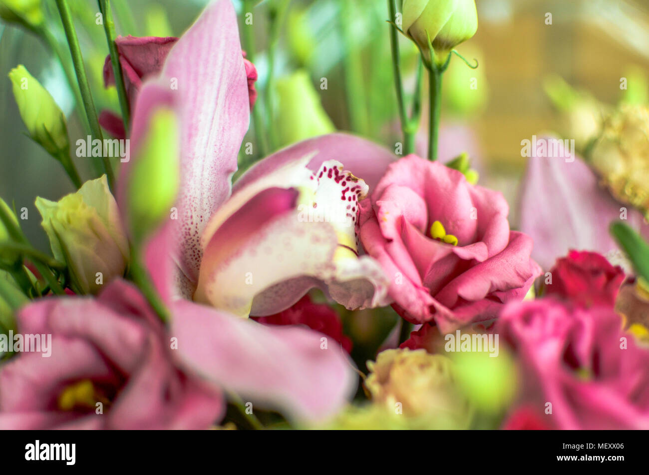 Bouquet with orchids and roses on a beautiful background Stock Photo