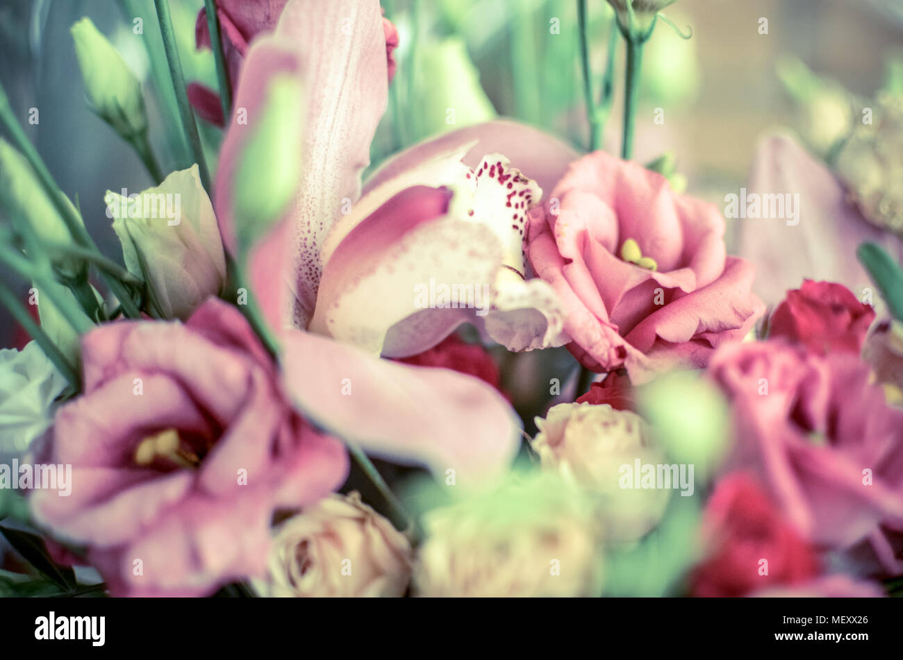 Bouquet with orchids and roses on a beautiful background Stock Photo