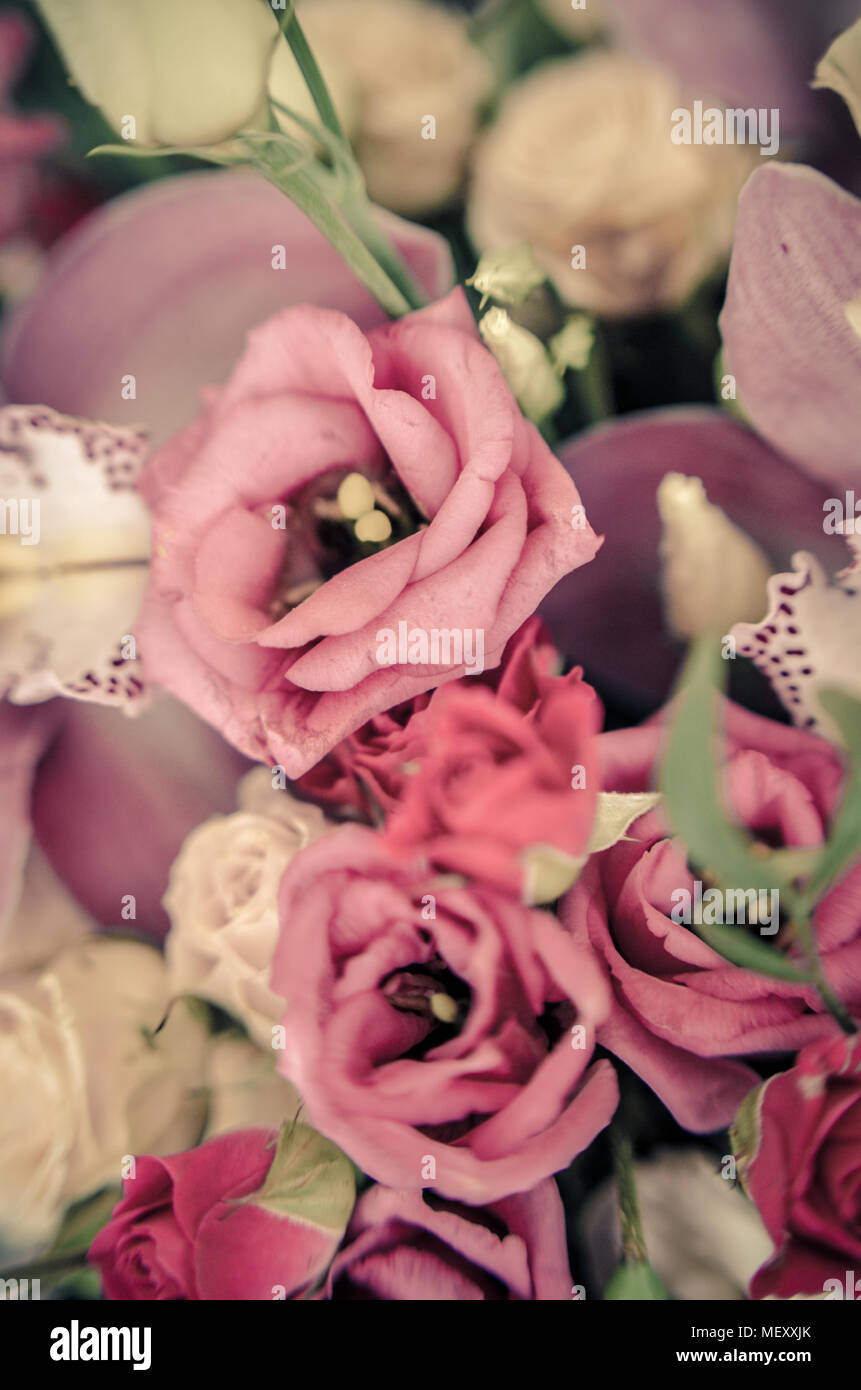 Bouquet with orchids and roses on a beautiful background Stock Photo