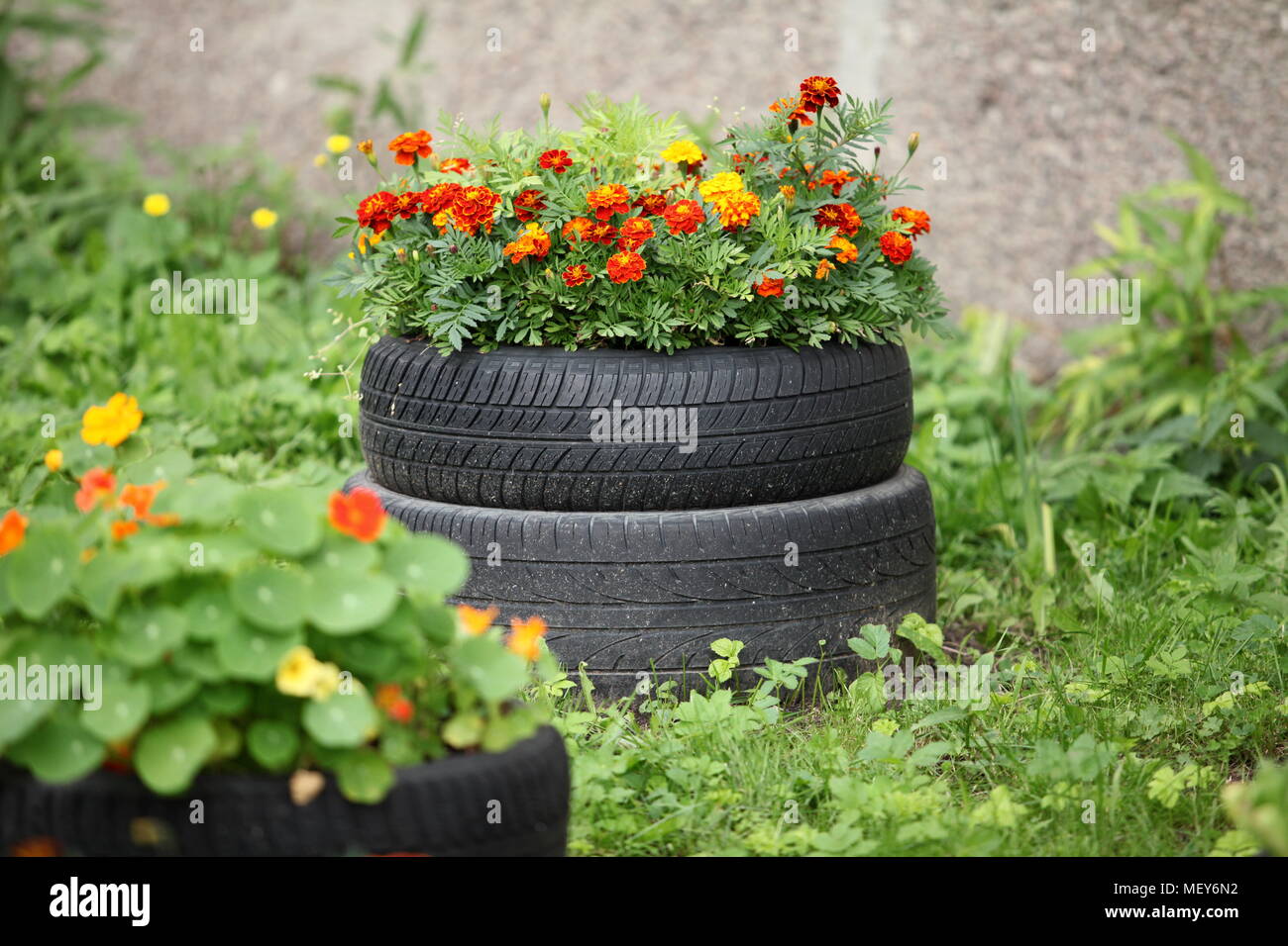 Flowerbed of old tires Flowerbed of old tires