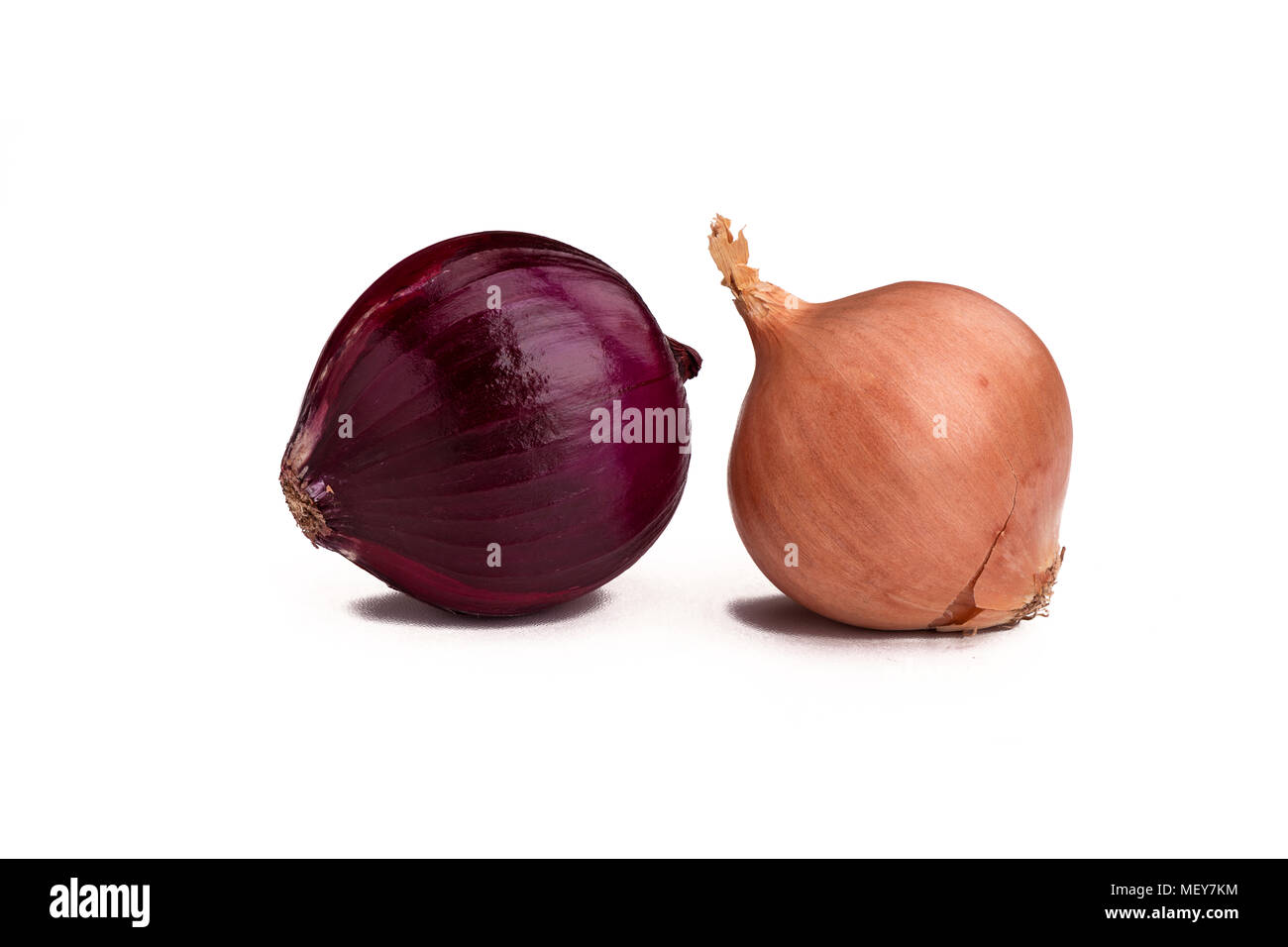 Two onion bulbs isolated on white background Stock Photo
