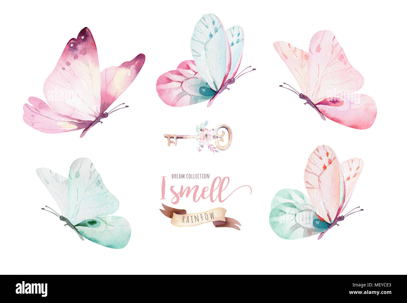 Watercolor colorful butterflies, isolated on white background. blue,  yellow, pink and red butterfly spring illustration Stock Photo - Alamy