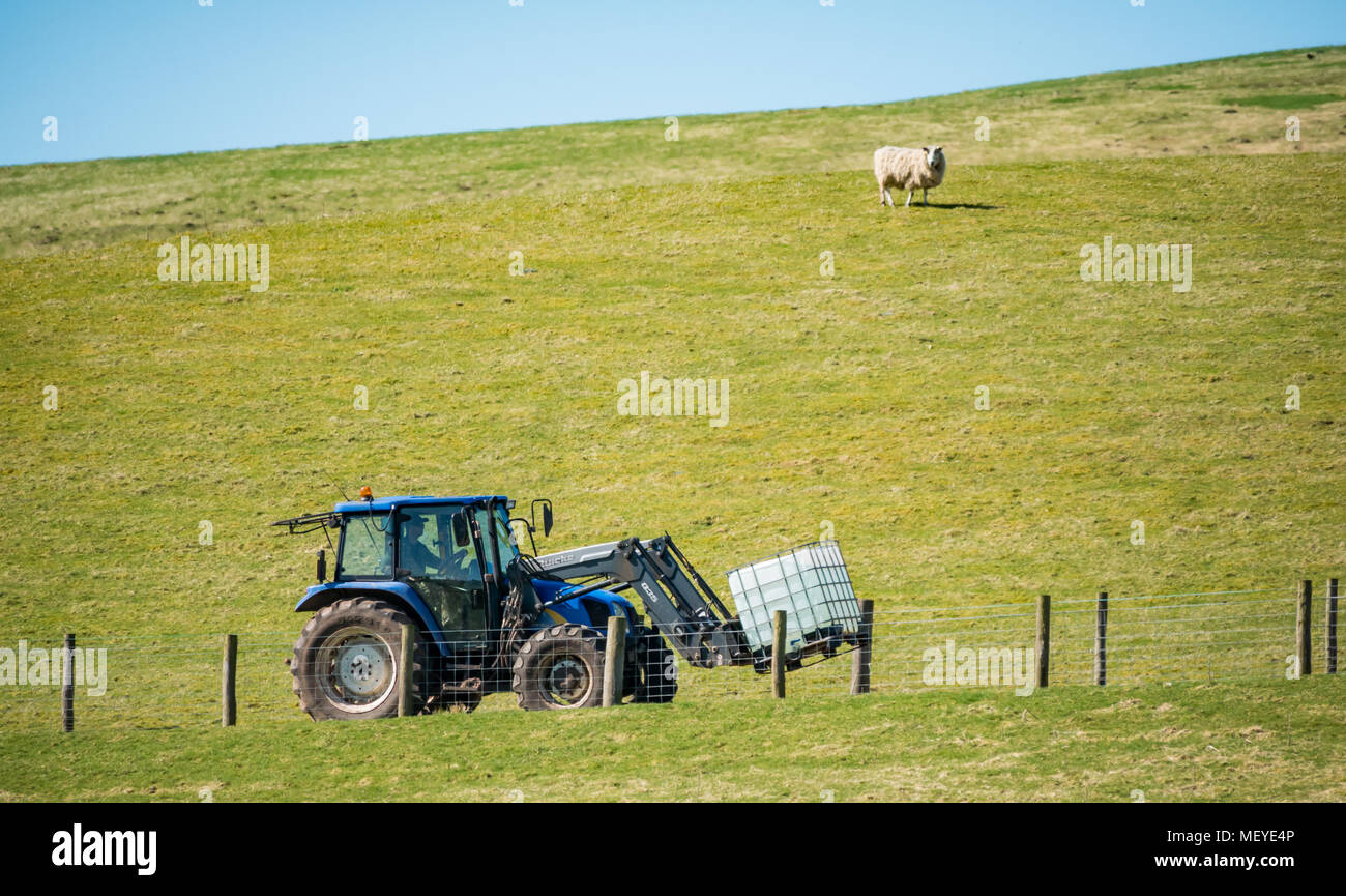 Farmer driving a Quicke tractor up a hill track delivering a plastic tank of water, Scottish Borders, Scotland, UK on sunny day Stock Photo