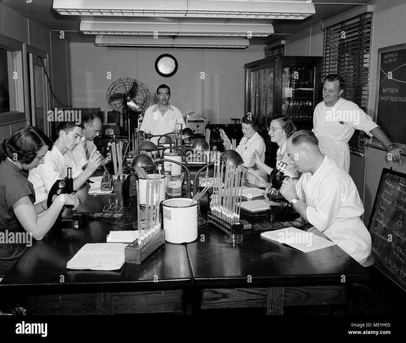 Group of laboratorians conducting research in the Centers for Disease Control (CDC) Venereal Disease (VD) laboratory, Chamblee campus, 1950. Image courtesy Centers for Disease Control. () Stock Photo