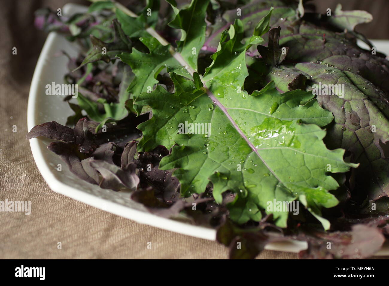 Still life with leaves Red Russian kale Stock Photo