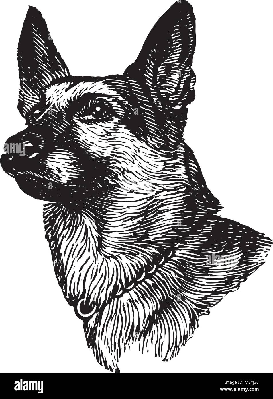 German Shepherd - Retro Clipart Illustration Stock Vector