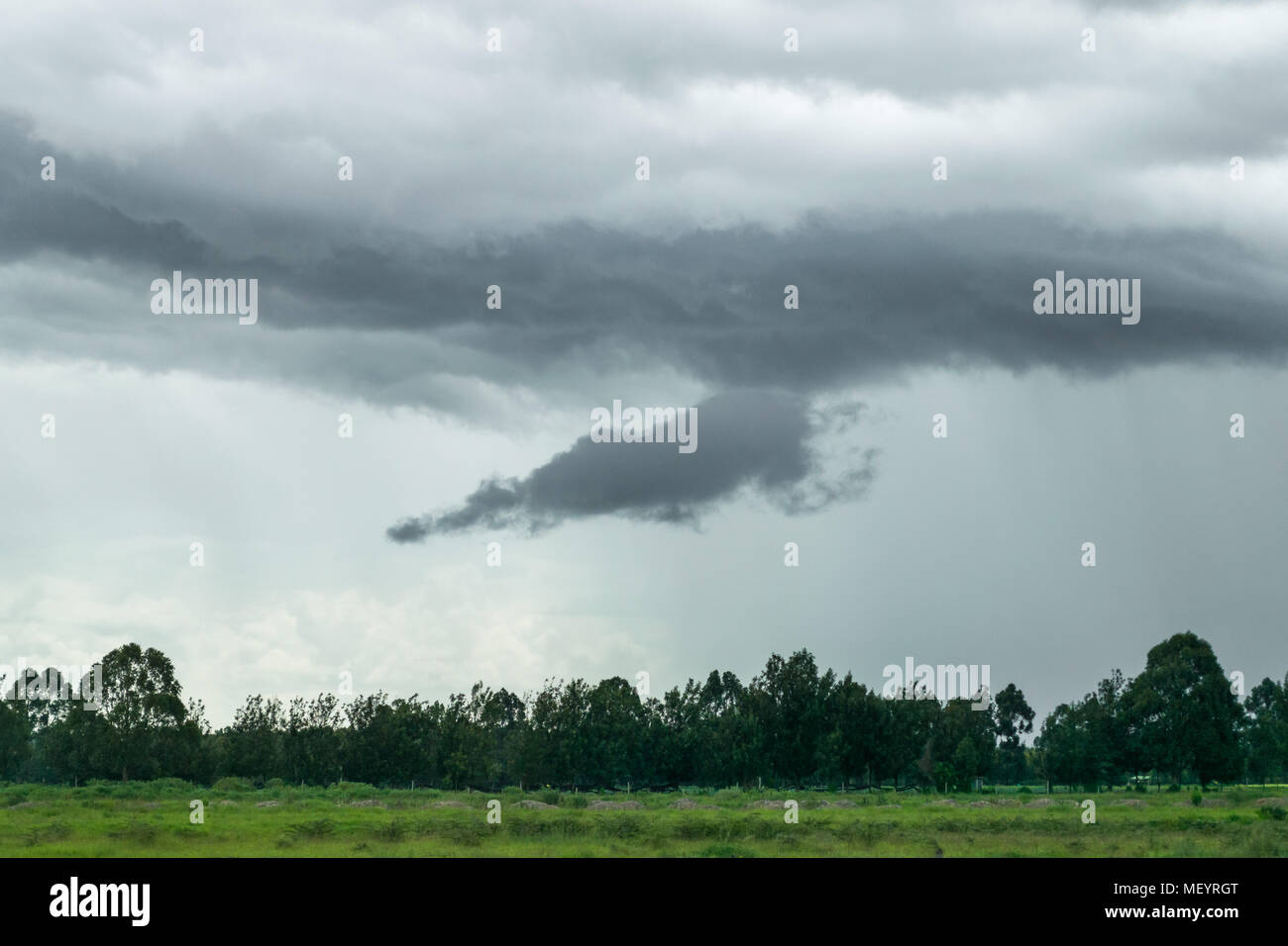 Dark grey rain clouds sit above a line of green trees Stock Photo