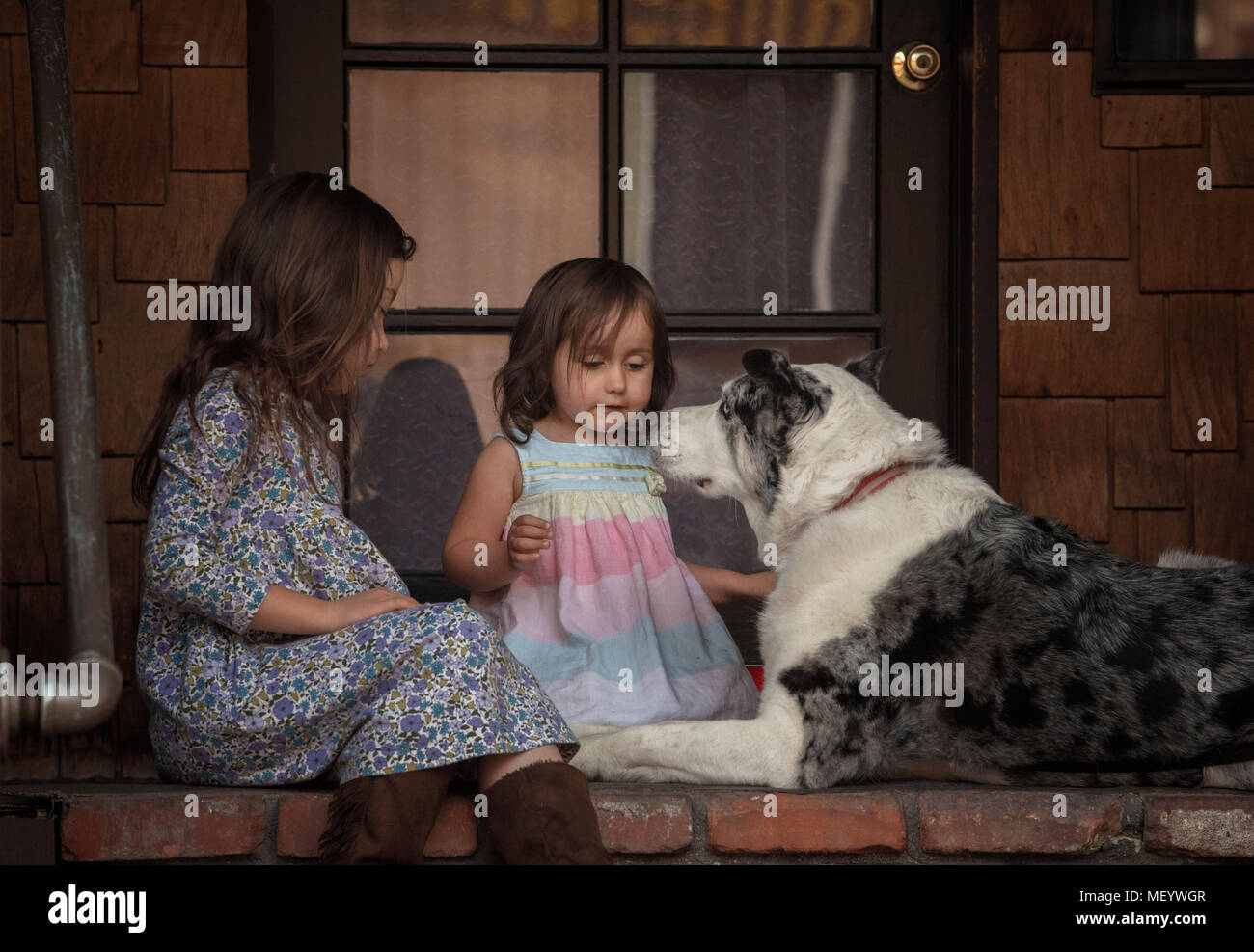 Two Little Girls Sitting With a Dog Stock Photo