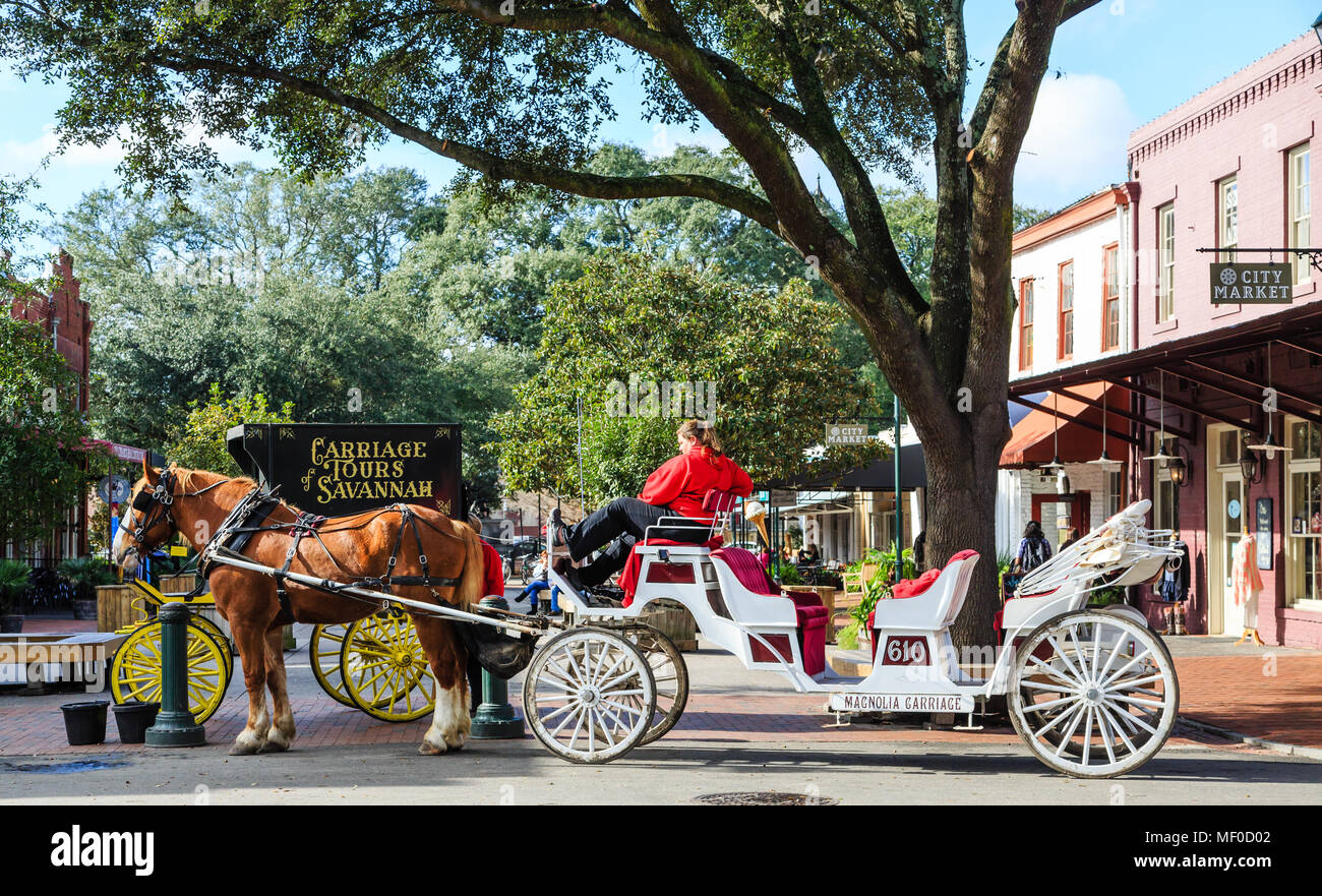 Savannah Georgia Horse Stock Photos Savannah Georgia Horse Stock