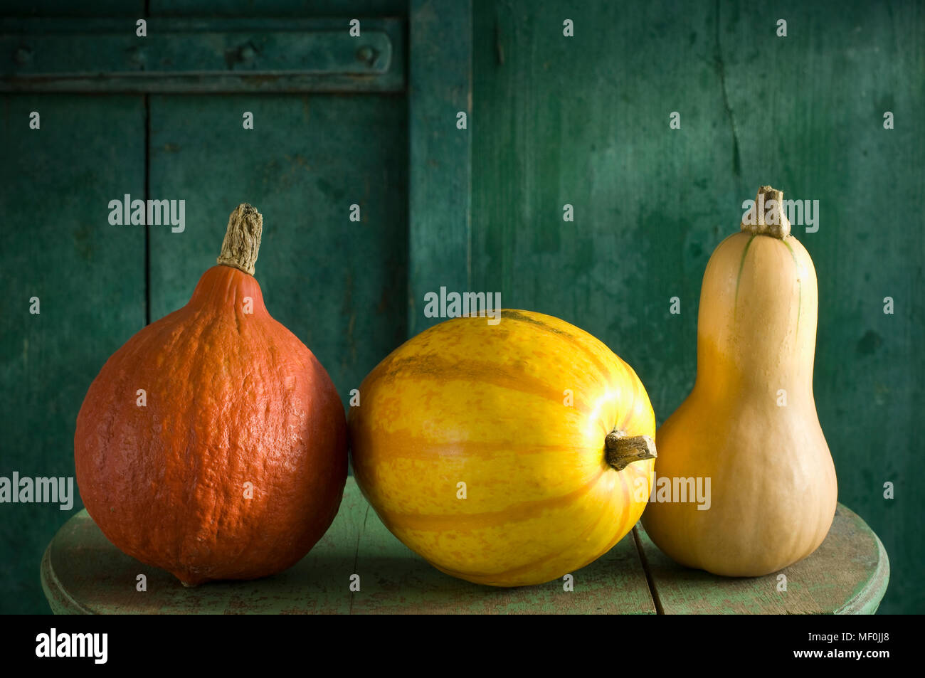 Hokkaido Pumpkin Spaghetti Squash And Butternut Squash Stock Photo Alamy