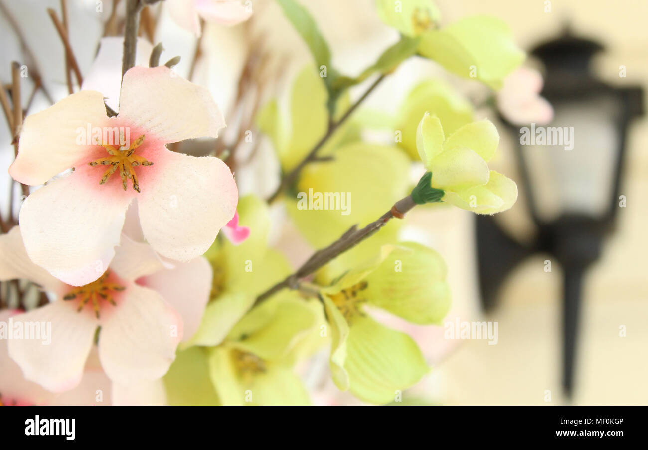 Hanging flower arrangement hi-res stock photography and images - Alamy