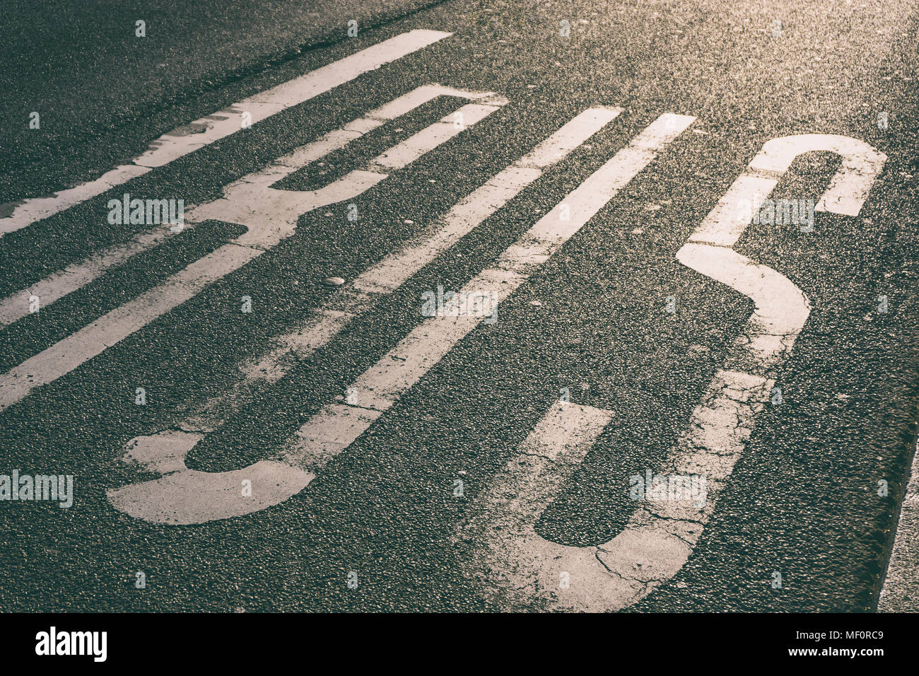 Closeup of 'Bus' road marking on bus lane Stock Photo Alamy