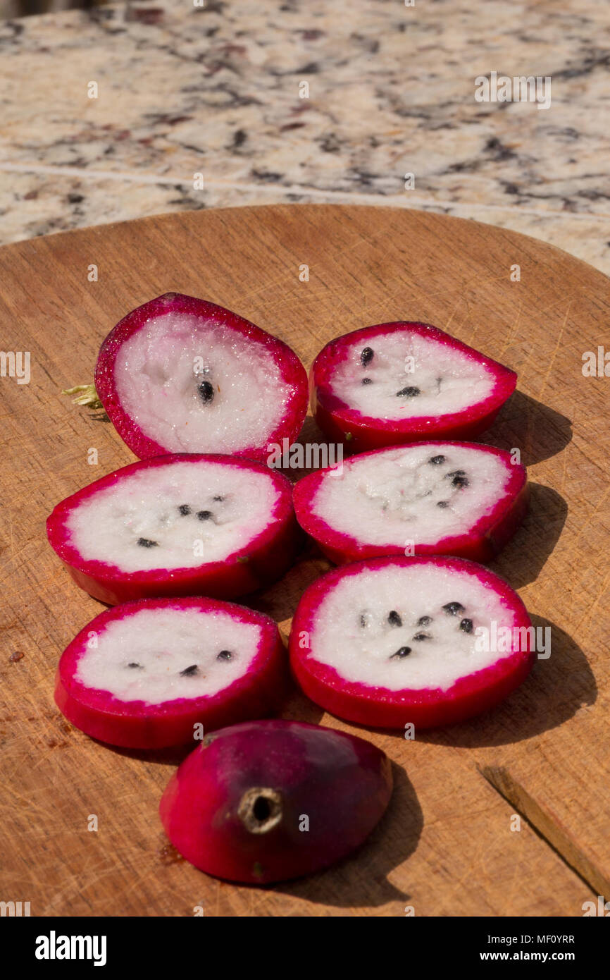 Queen of the Night - Epiphyllum oxipetalum - Fruit Stock Photo - Alamy