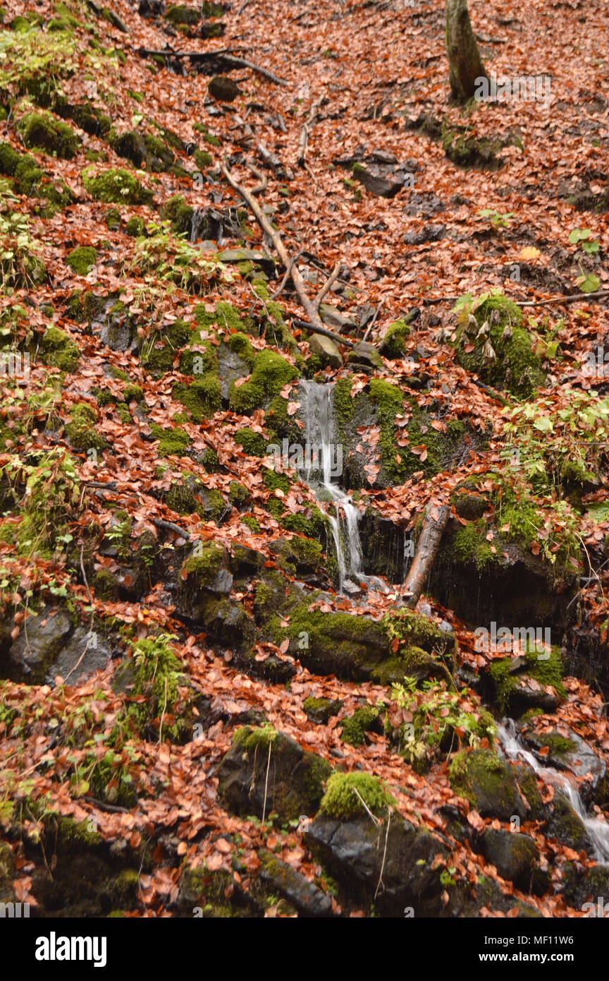 Waterfall Tracker Explore the most popular waterfall trails in National Forest with hand ...