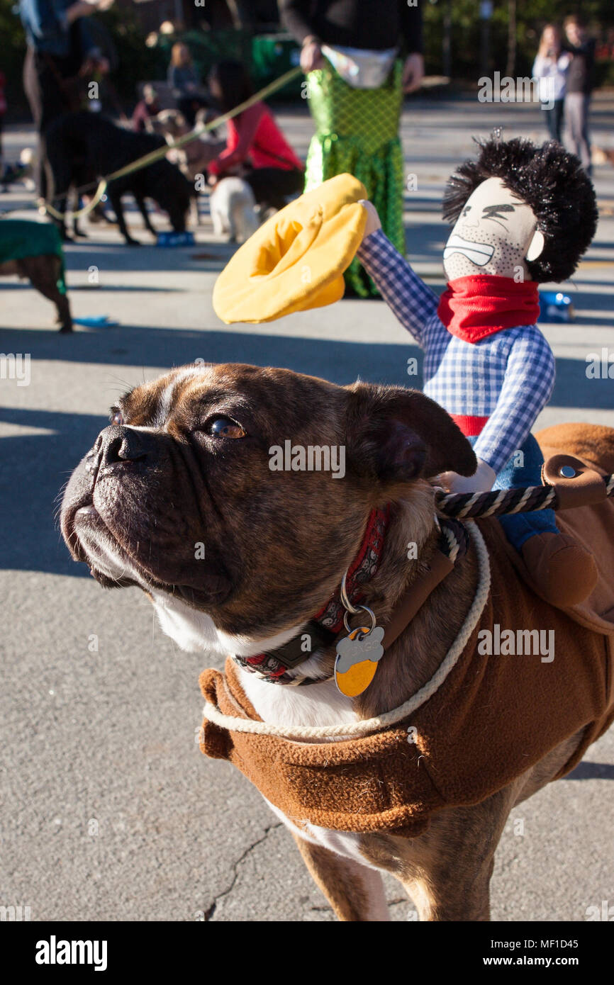 Dog Costume With Cowboy On Back