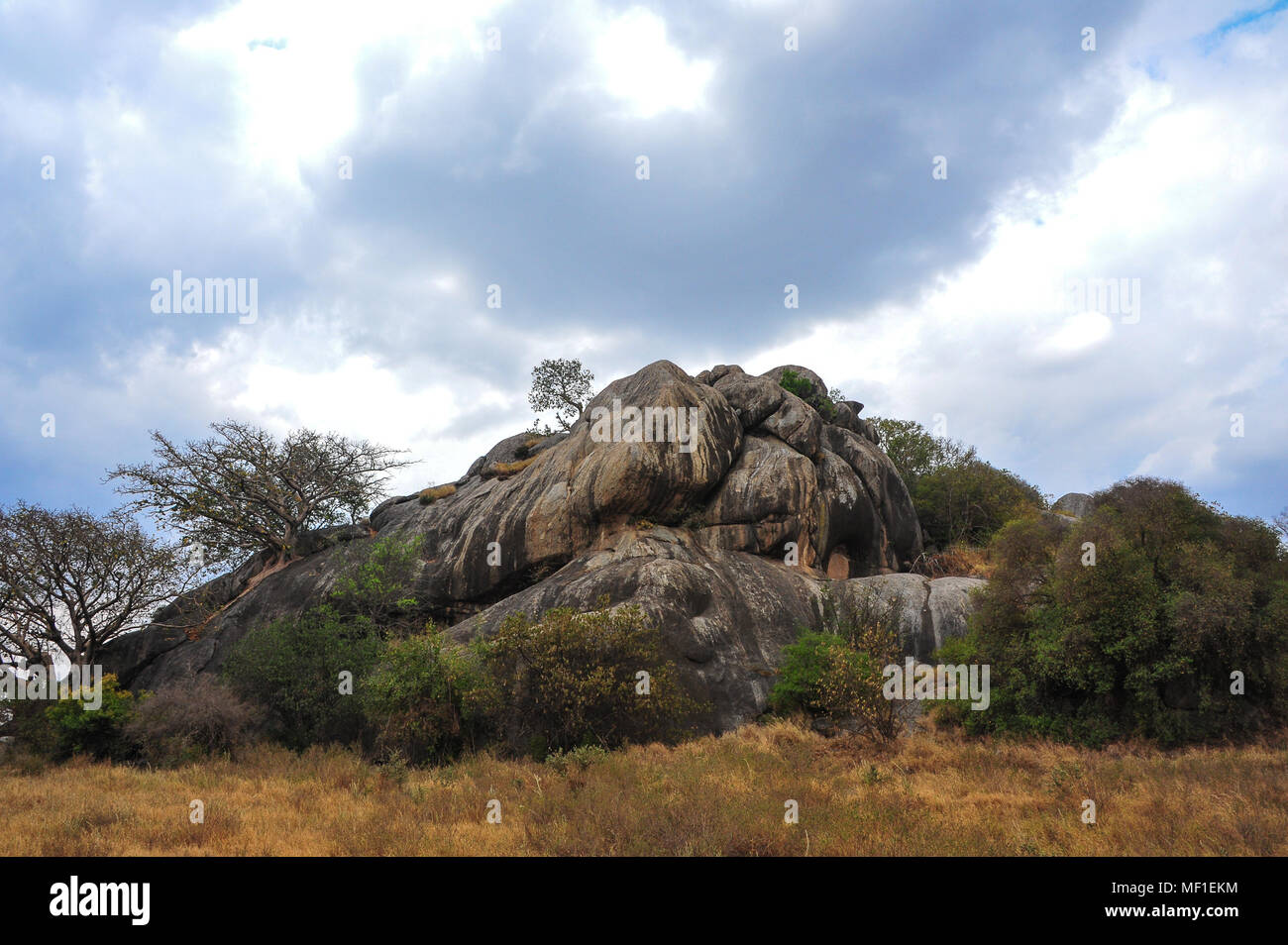 Beautiful Serengeti landscape. A rocky kopje stands in golden grassland ...