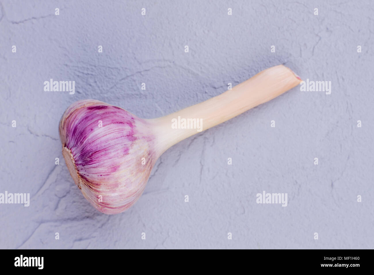 Organic garlic bulb with stem Stock Photo Alamy