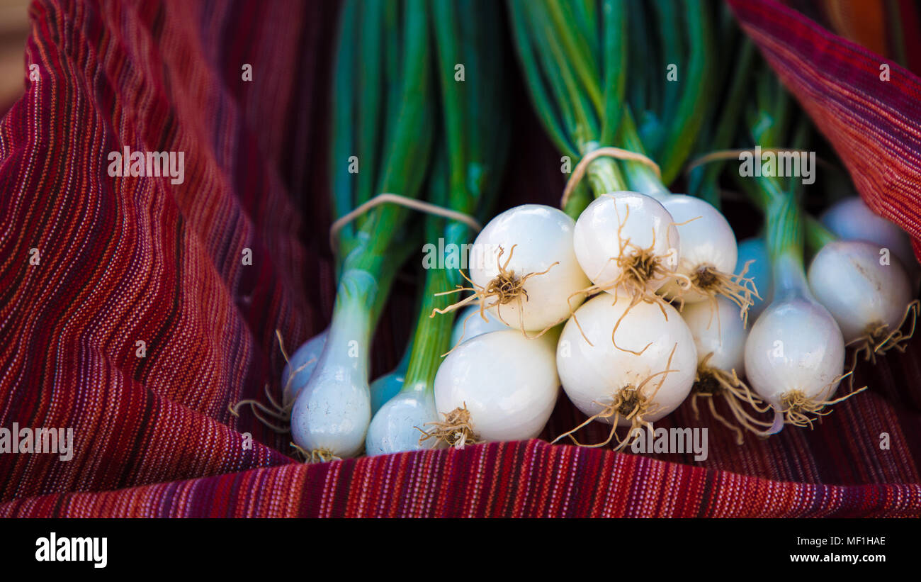 Food image of white onions hi-res stock photography and images - Alamy