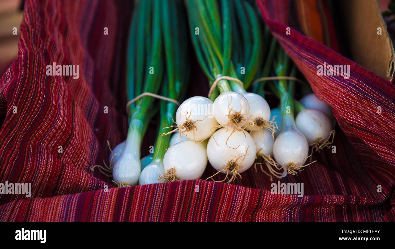 Food image of white onions hi-res stock photography and images - Alamy