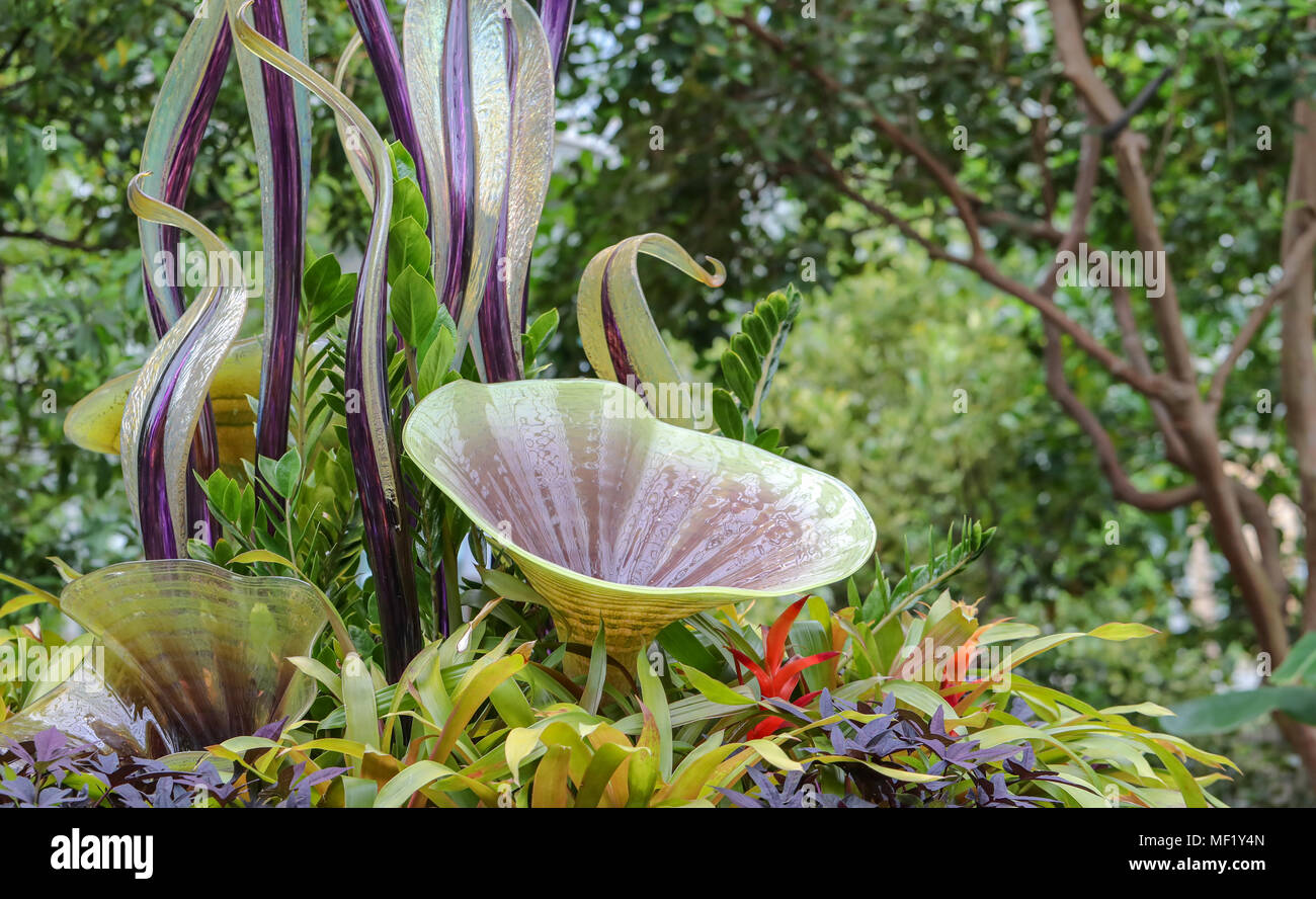 Beautiful, larger than life, vividly colored glass flowers as seen at