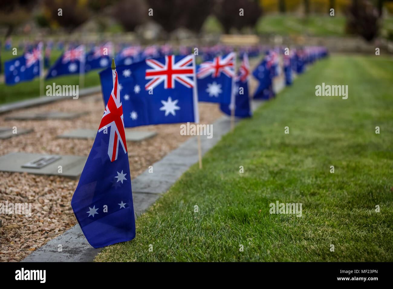Ballarat, Victoria, Australia. 24th Apr, 2018. Pupils from MacArthur Street and Pleasant Street primary schools In Ballarat Victoria took time out to plant flags on the graves at the Ballarat Old Cemetery.Across both of Ballarat’s cemeteries, more than 1300 graves will be marked so when dawn breaks on Anzac Day the flags will flutter at the graves of every First World War soldier known to be buried or commemorated there.  Credit: brett keating/Alamy Live News Stock Photo
