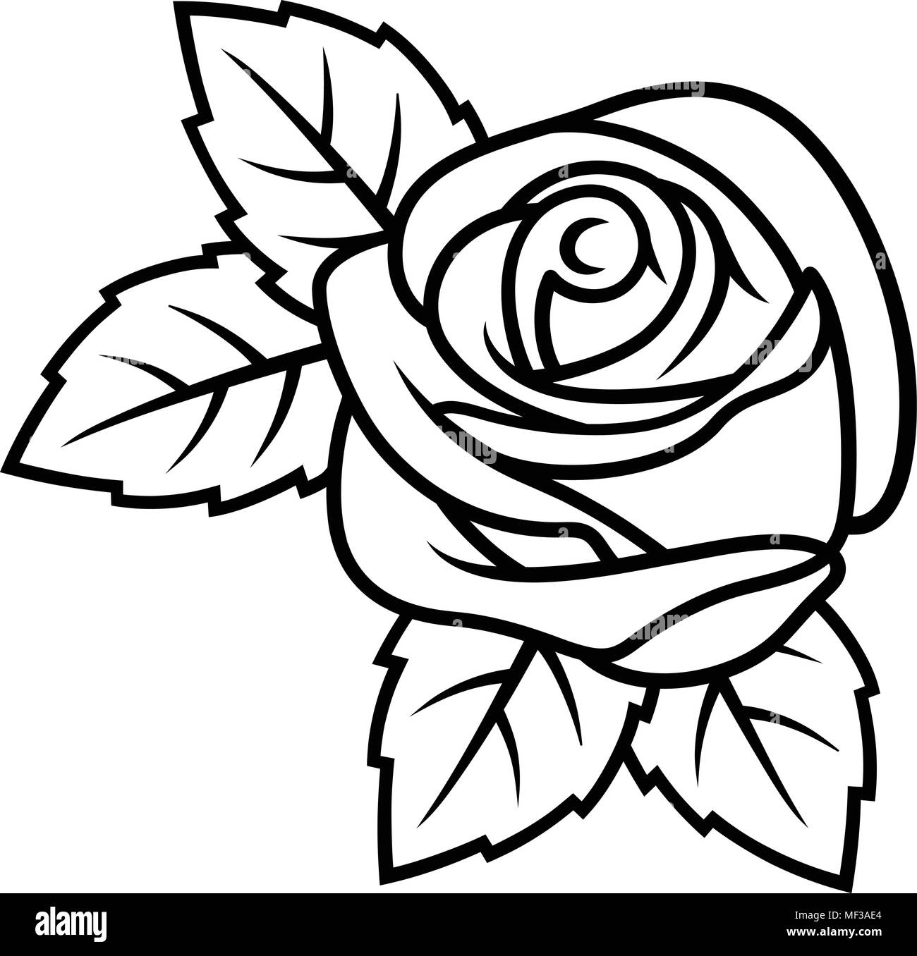 Sketch of Rose isolated on white background. Use for fabric design, tattoo, pattern and decorating greeting cards, invitations Stock Vector