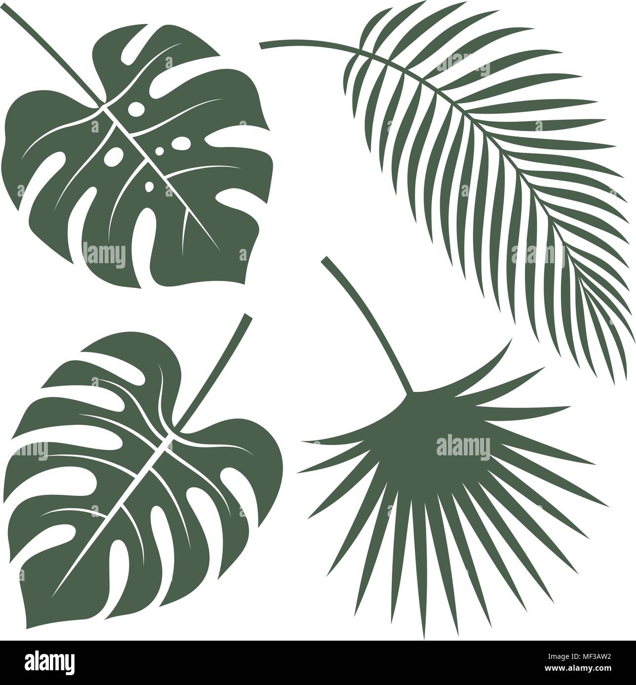 Vector silhouettes of tropical leaves. Monstera, coconut palm and fan palm Stock Vector