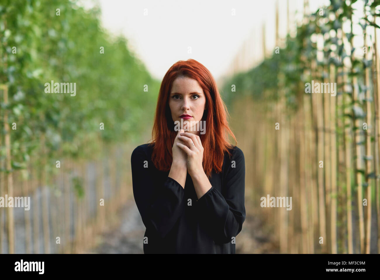Portrait of redheaded young woman in nature Stock Photo - Alamy