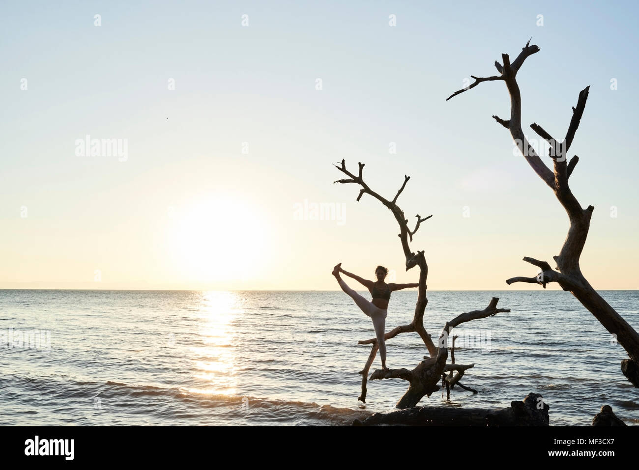 Young woman practicing yoga on a fallen tree in the sea at sunset Stock Photo