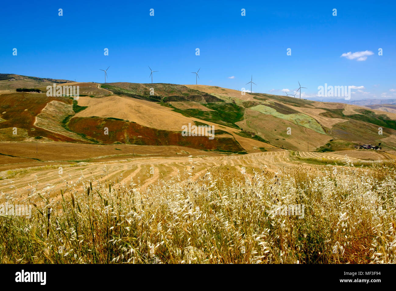 Getreidefelder und Windräder an der SS118, bei Corleone,  Provinz Palermo,  Sizilien, Italien Stock Photo