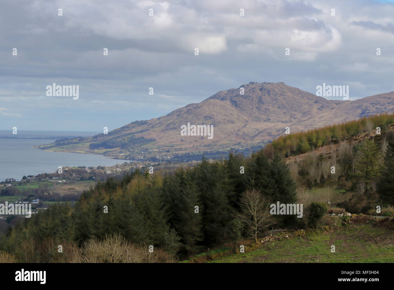 Slieve Foy is the highest point of the Cooley Peninsula in County Louth, Ireland. Stock Photo