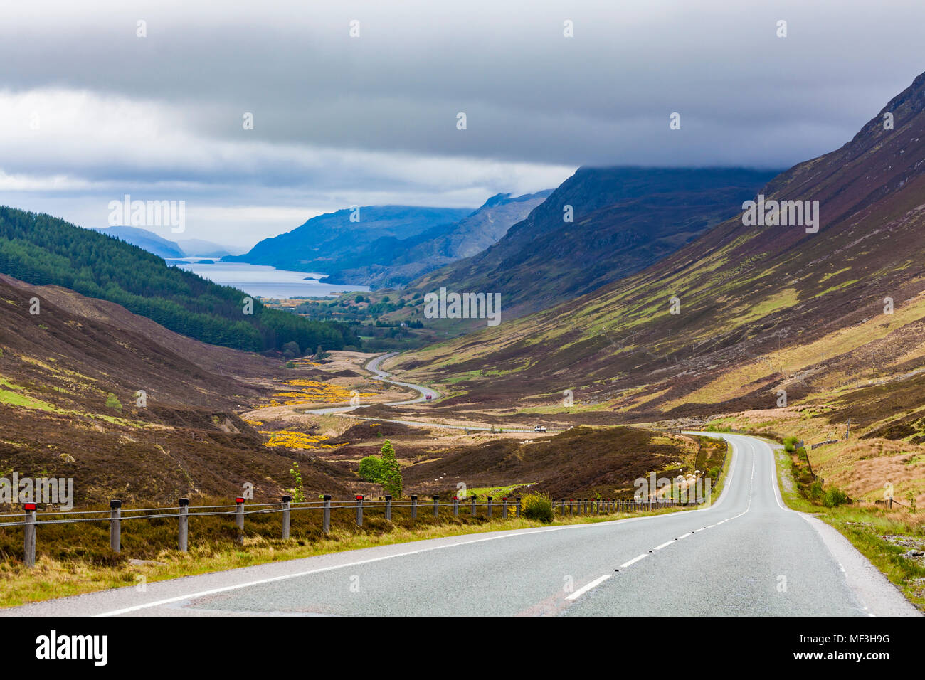 United Kingdom, Scotland, Highland, Glen Docherty Valley, A832 road, Loch Maree Stock Photo