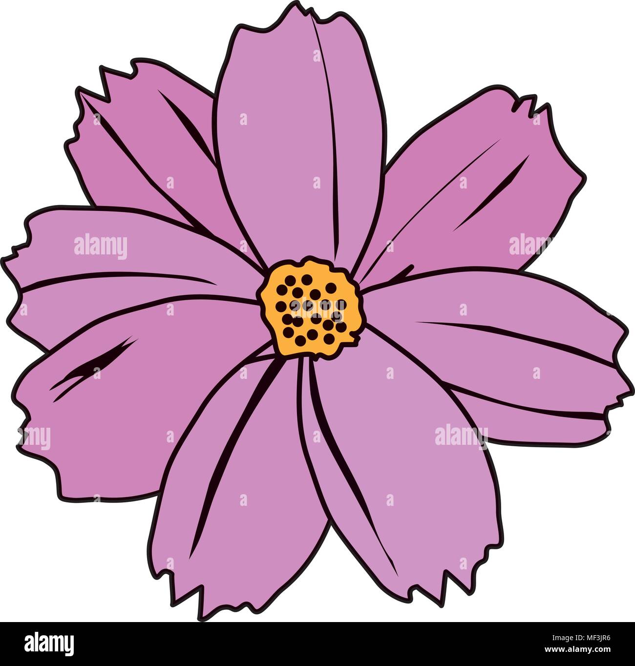 color spring natural flower with beautiful petals vector illustration