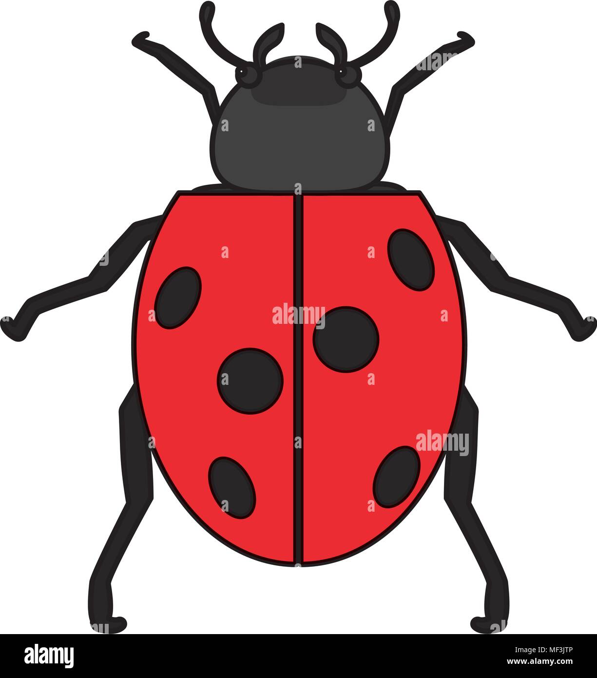 color nature ladybug insect animal of spring vector illustration Stock ...
