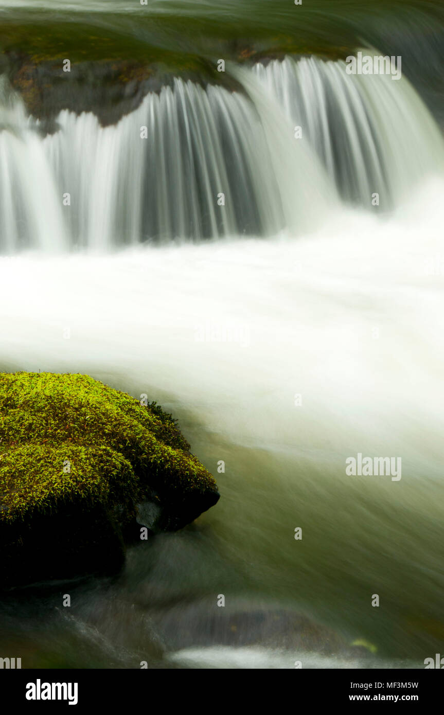 South Fork Alsea River along Alsea Falls Trail, Alsea Falls Recreation