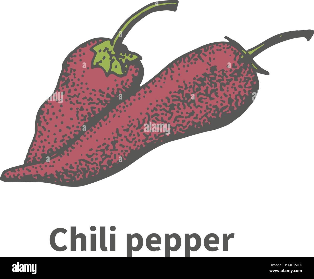 Hand-drawn two ripe red chili pepper Stock Vector