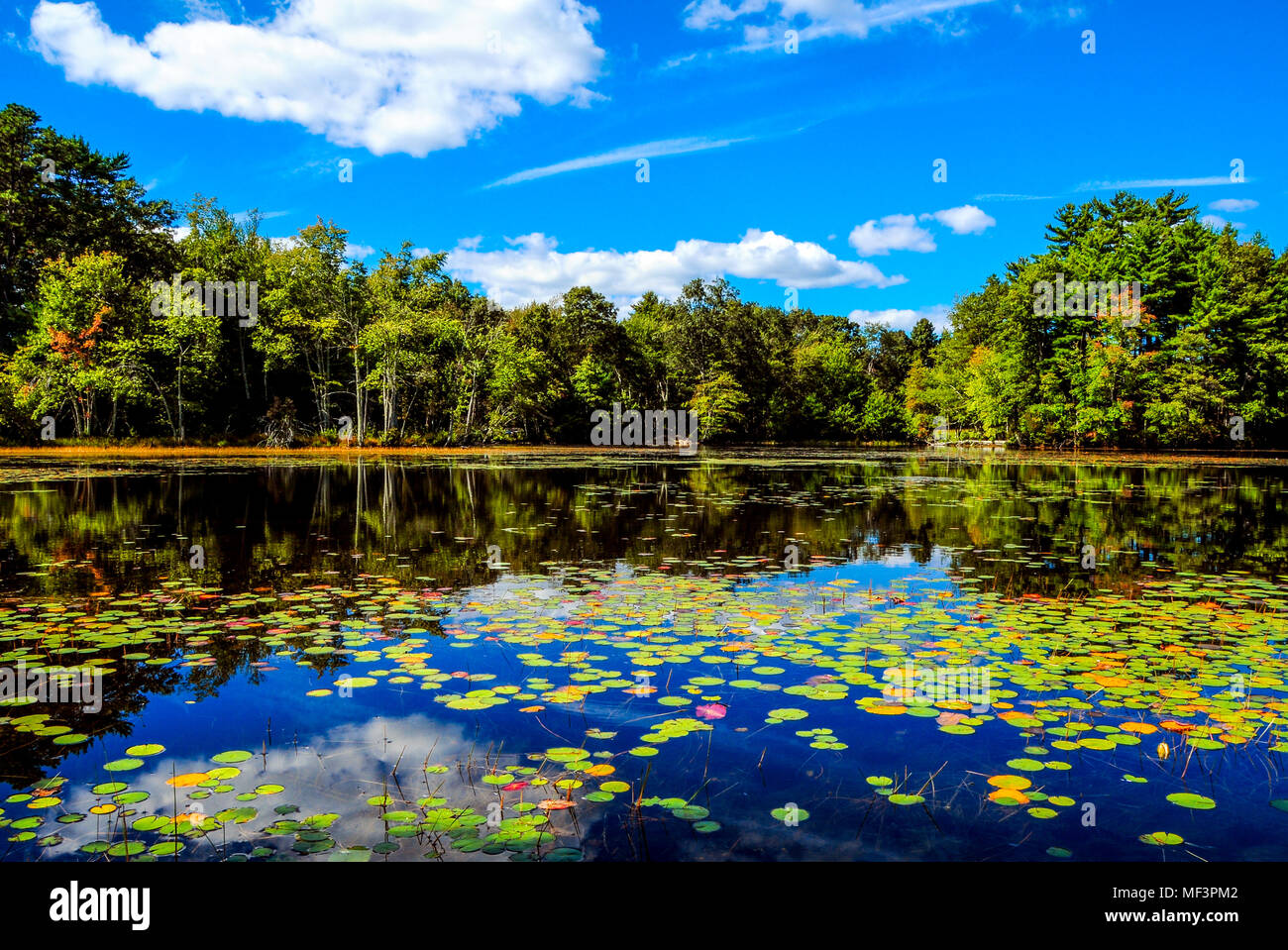 New england landscape hi-res stock photography and images - Alamy