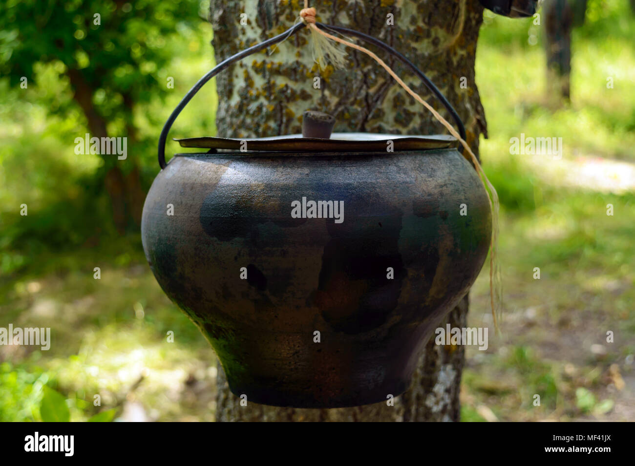 A pot for cooking over an open fire, hanging on the tree. For hikes